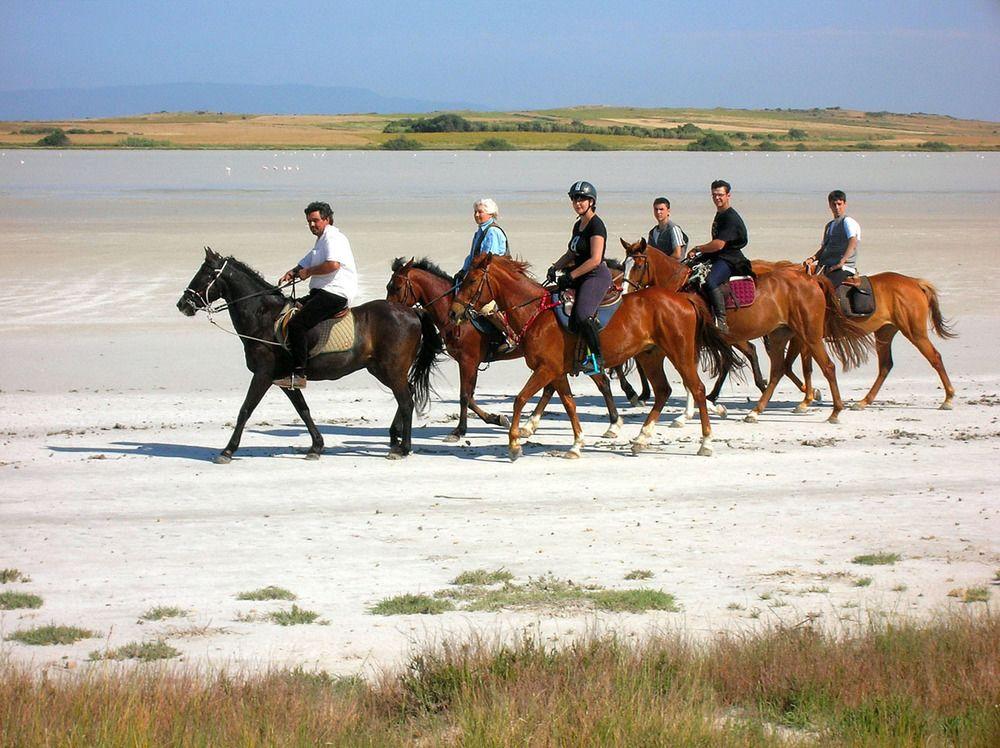 Horse Country Resort Congress & Spa - Hotel Ribot Arborea Dış mekan fotoğraf