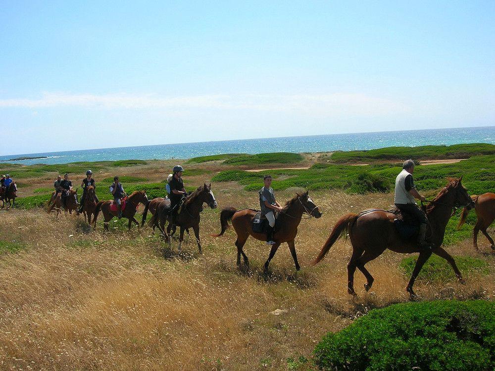 Horse Country Resort Congress & Spa - Hotel Ribot Arborea Dış mekan fotoğraf