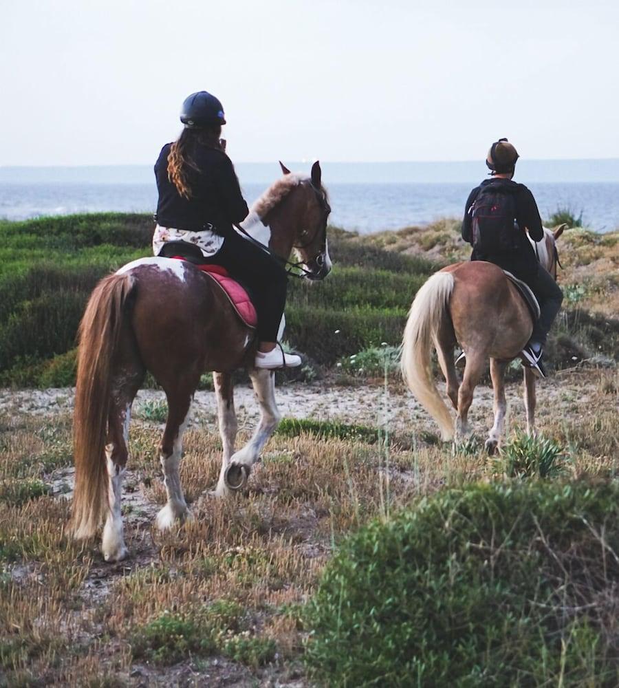 Horse Country Resort Congress & Spa - Hotel Ribot Arborea Dış mekan fotoğraf