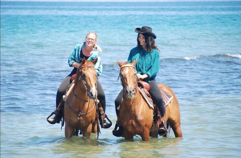 Horse Country Resort Congress & Spa - Hotel Ribot Arborea Dış mekan fotoğraf