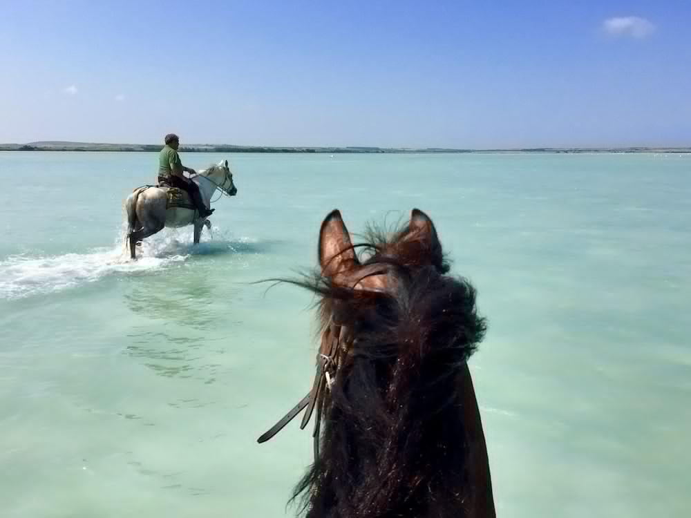 Horse Country Resort Congress & Spa - Hotel Ribot Arborea Dış mekan fotoğraf