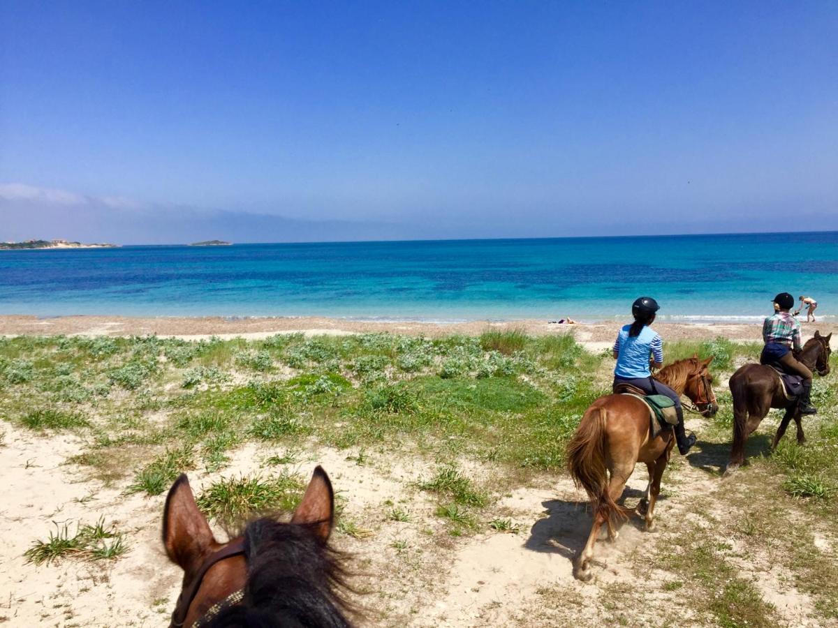 Horse Country Resort Congress & Spa - Hotel Ribot Arborea Dış mekan fotoğraf