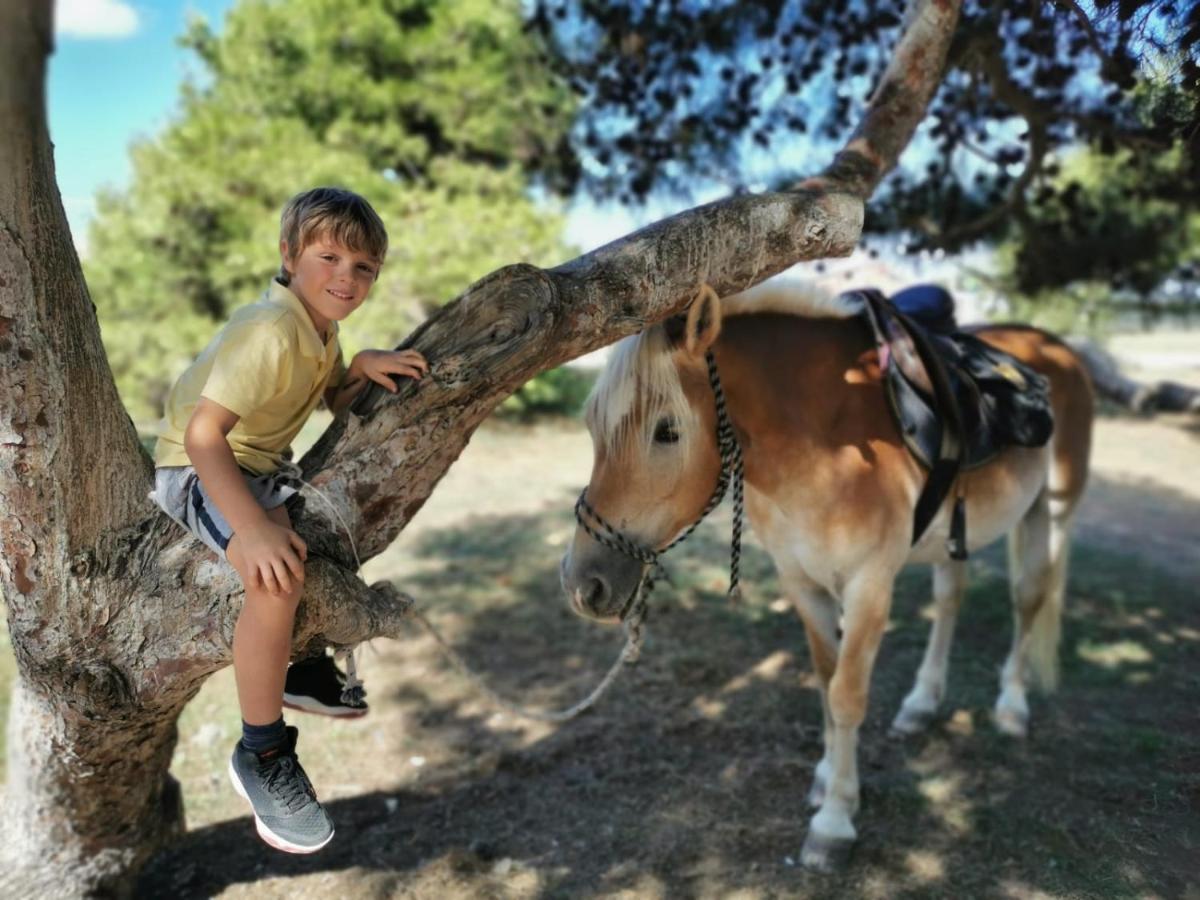 Horse Country Resort Congress & Spa - Hotel Ribot Arborea Dış mekan fotoğraf