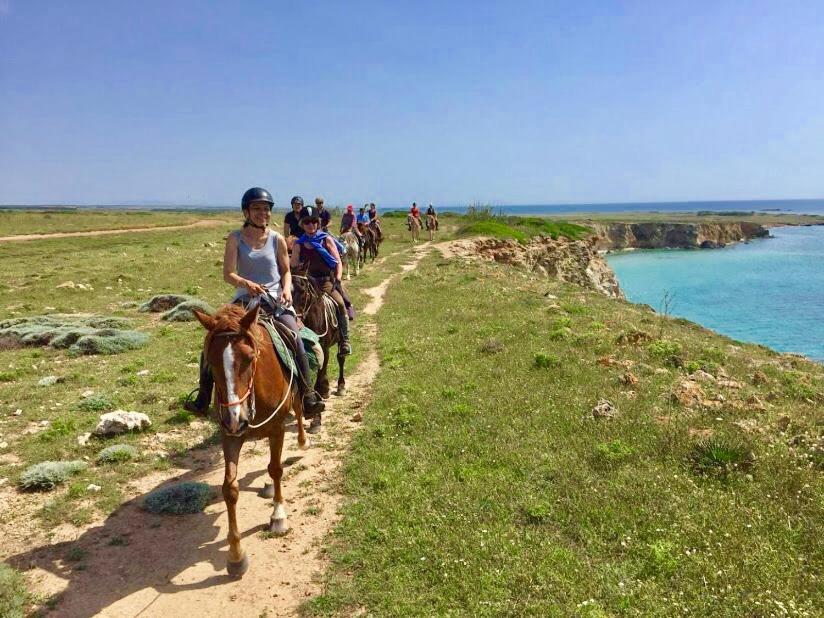 Horse Country Resort Congress & Spa - Hotel Ribot Arborea Dış mekan fotoğraf