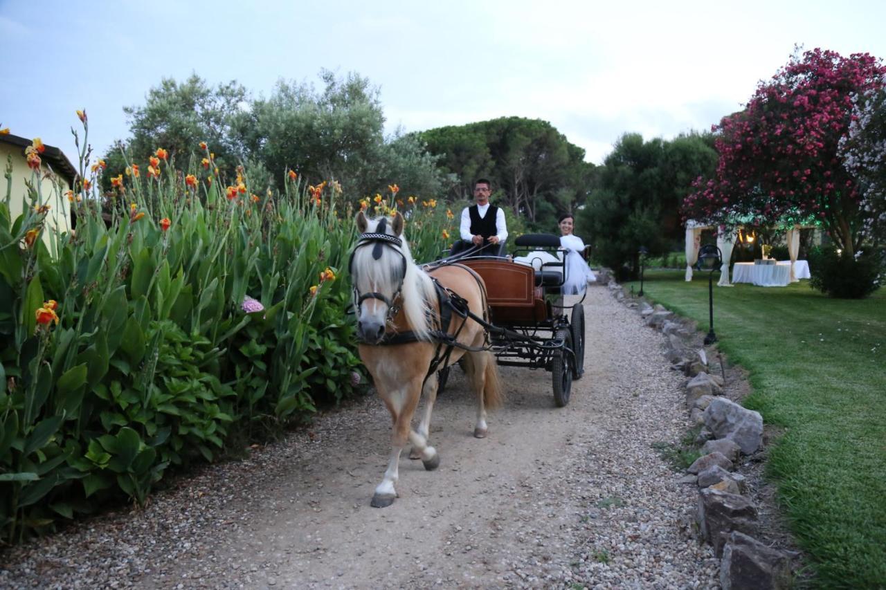 Horse Country Resort Congress & Spa - Hotel Ribot Arborea Dış mekan fotoğraf